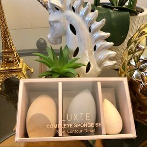 Sponges LUXIE set